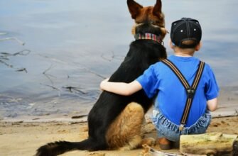 Справжній друг: Відданість, підтримка і розуміння в житті людей