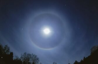 Ореол: визначення, значення та приклади в природі та культурі