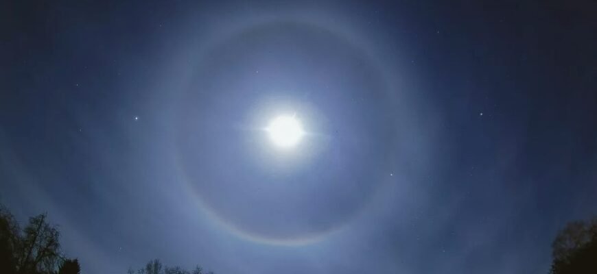 Ореол: визначення, значення та приклади в природі та культурі