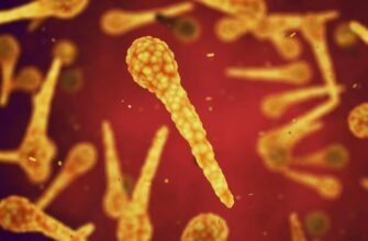 Причини, симптоми та профілактика правця: все, що потрібно знати