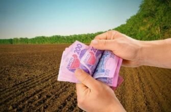 Рентна плата: визначення, види та роль у економіці України