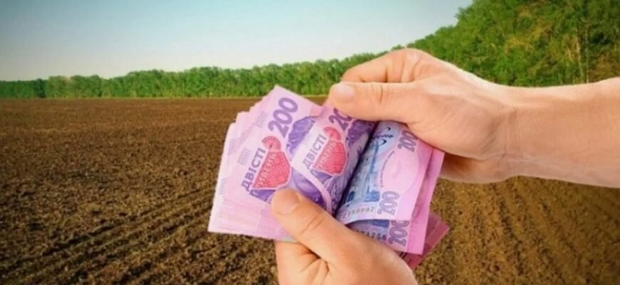 Рентна плата: визначення, види та роль у економіці України Рентна плата: визначення, види та роль у економіці України