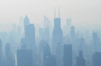 Смог: Визначення, Причини Виникнення та Вплив на Здоров’я Людини