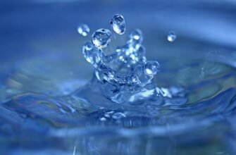 Структурована вода: наукові факти, розвінчання міфів та важливість