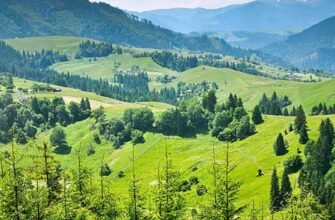 Верховина: Значення, Історія та Вплив на Культуру України