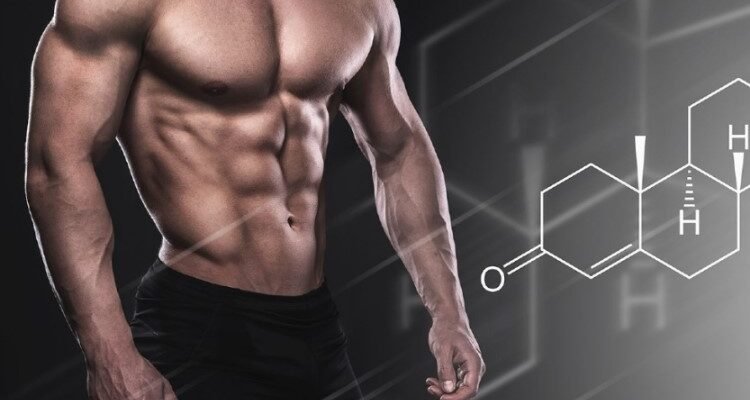Тестостерон: Важливість гормону для здоров’я чоловіків і жінок