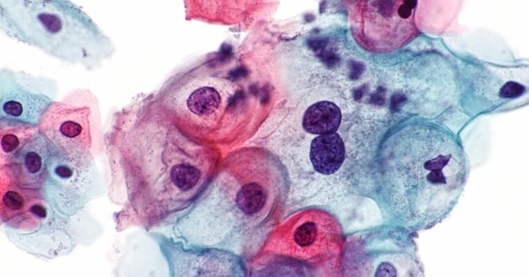 Що таке цитологія: основи науки про клітини для початківців