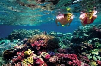Великий Бар’єрний риф: унікальне диво Австралії вражаючих масштабів