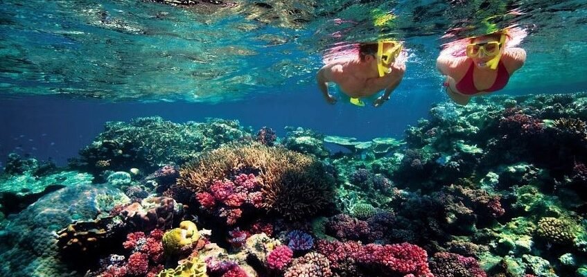 Великий Бар’єрний риф: унікальне диво Австралії вражаючих масштабів